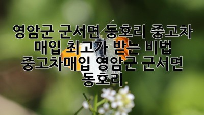 🚗💨 영암군 군서면 동호리 중고차 매입, 최고가 받는 비법! #중고차매입 #영암군 #군서면 #동호리